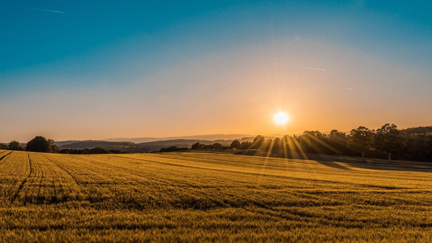 Agriculture & Food Security