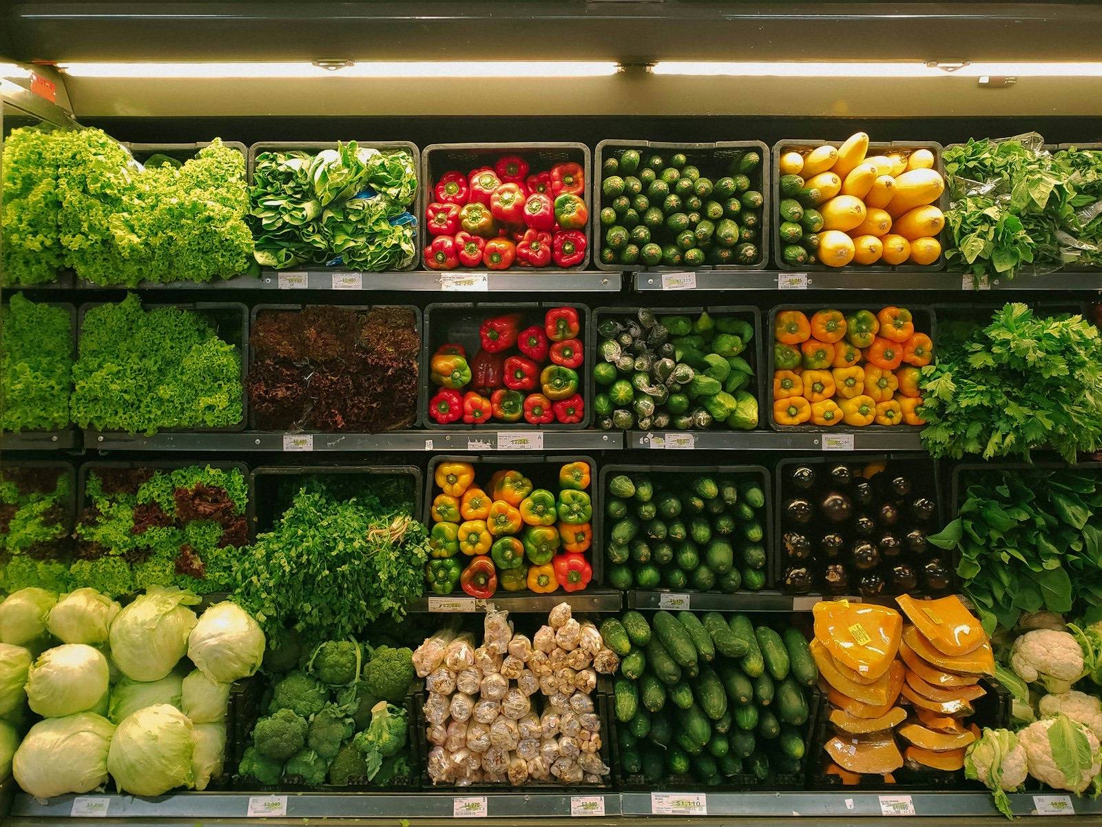 Import, Export, & FMCG Distribution
